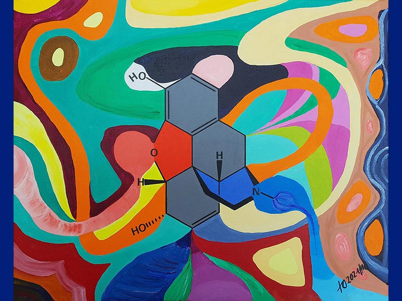 Ästhetik-einer-chemischen-Formel Morphin